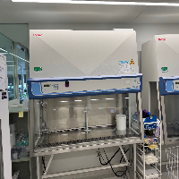 Thermo Safe 2020 6' BioSafety Cabinet image 0